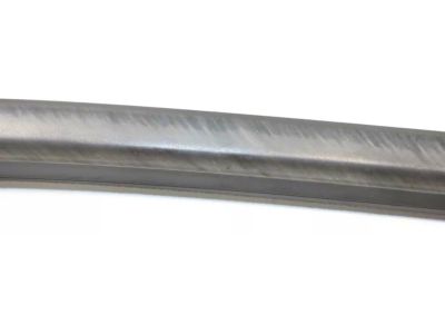 AB3Z-2625555-C Ford Moulding, Driver Side Product Photo 3 of 4