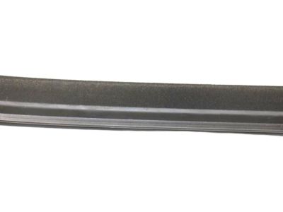 AB3Z-2625555-C Ford Moulding, Driver Side Product Photo 2 of 4