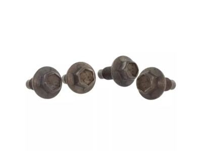-W713299-S300 Ford Bolt Product Photo 2 of 2