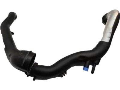 DB5Z-9R530-A Ford Hose Assembly Product Photo 2 of 2
