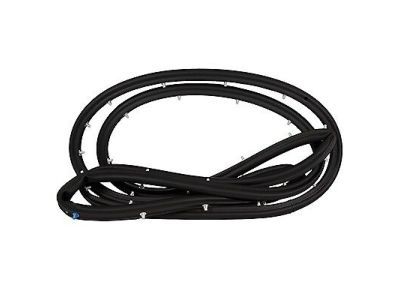 Ford CJ5Z-7820530-A Weatherstrip
