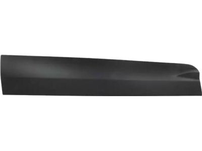 CJ5Z-7820879-AB Ford Moulding - Door Outside, Driver Side Product Photo 2 of 2