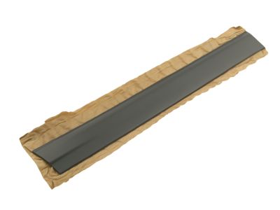YW7Z-5425556-AAK Ford Moulding - Door Outside, Passenger Side Product Photo 2 of 2