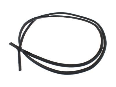 Ford 5W1Z-5420709-AA Weatherstrip On Body, Camel, Driver Side 5W1Z-5420709-AA Ford Weatherstrip On Body, Camel, Driver Side Product Photo 1 of 1