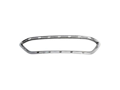 AE8Z-8200-BA Ford Grille Surround, Front Lower Product Photo 5 of 8