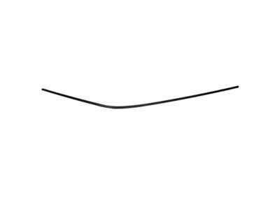 4L3Z-1603136-AA Ford Side Molding, Front Passenger Side Product Photo 2 of 4