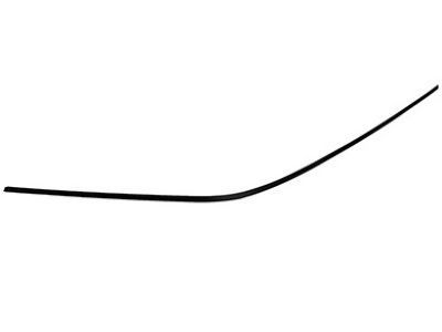 4L3Z-1603136-AA Ford Side Molding, Front Passenger Side Product Photo 4 of 4