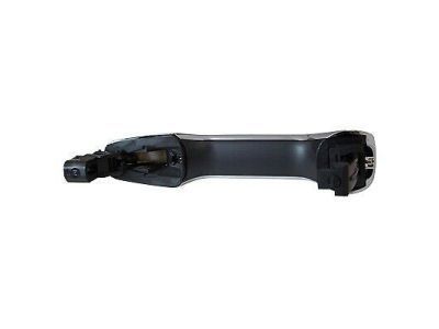 Ford BB5Z-7822404-BA Handle Assembly - Door Outer