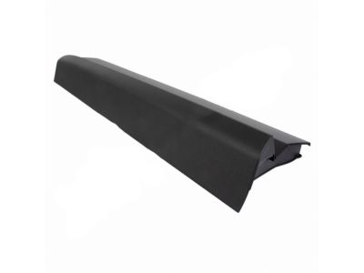 Ford FT4Z-5820879-DC Molding - Door Outside