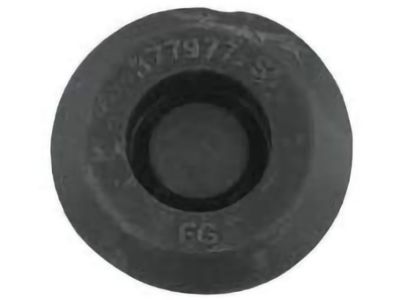 Lincoln -377977-S Plug - Blanking