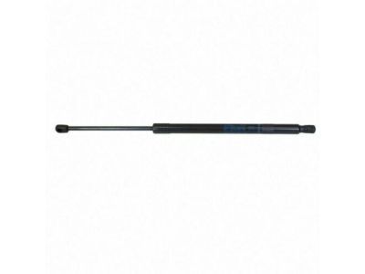 7T4Z-78406A10-A Ford Lift Cylinder, Rear Passenger Side Product Photo 2 of 3