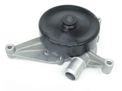 Lincoln XW4Z-8501-CD Pump Assembly - Water