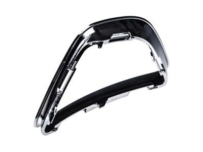 Ford AE5Z-17E810-F Grille - Bumper