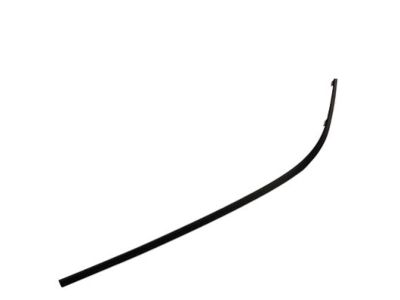 4L3Z-1503137-AA Ford Side Molding, Driver Side Product Photo 1 of 2