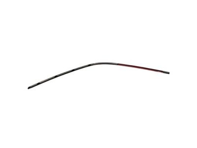 4L3Z-1503137-AA Ford Side Molding, Driver Side Product Photo 2 of 2