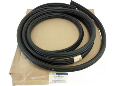 BL3Z-1820708-A Ford Weatherstrip Assembly - Door Opening, Passenger Side Product Photo 2 of 2
