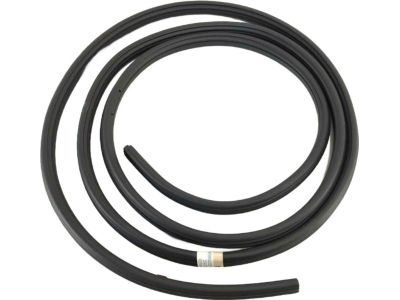 BL3Z-1820708-A Ford Weatherstrip Assembly - Door Opening, Passenger Side Product Photo 1 of 2