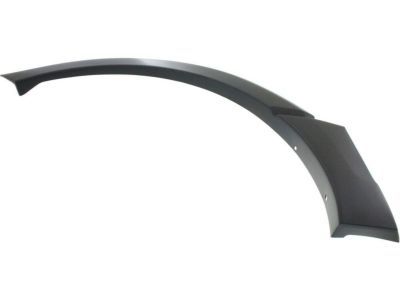 Ford 7L1Z-4029165-APTM Moulding