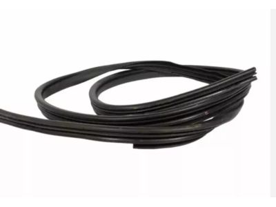 BT4Z-7820708-A Ford Weatherstrip Assembly - Door Opening Product Photo 1 of 2