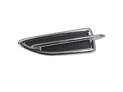 Ford CJ5Z-16228-AA Molding - Front Body Panel