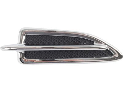Ford CJ5Z-16228-AA Molding - Front Body Panel
