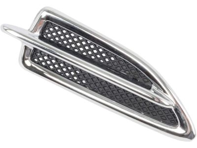 Ford CJ5Z-16228-AA Molding - Front Body Panel