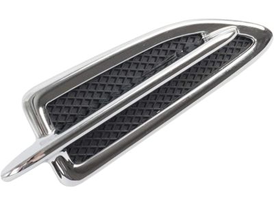 Ford CJ5Z-16228-AA Molding - Front Body Panel