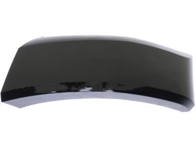 Ford HC3Z-16038-BPTM Molding - Bumper Bar