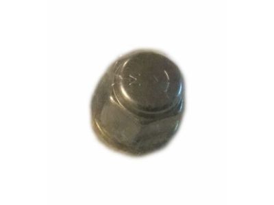 YS4Z-1012-BA Ford Nut - Wheel Product Photo 1 of 1