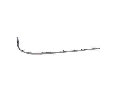 Lincoln 3W1Z-17C830-BA Molding - Bumper Bar