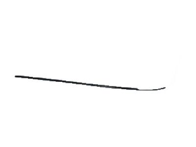 Lincoln 3W1Z-17C830-BA Molding - Bumper Bar