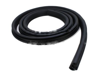 Mercury 8L2Z-78253A10-A Weatherstrip - Door Opening