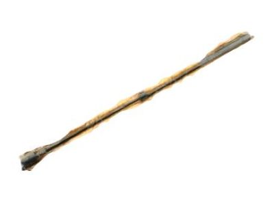 Ford 1W6Z-16C826-CA Lift Assembly - Gas