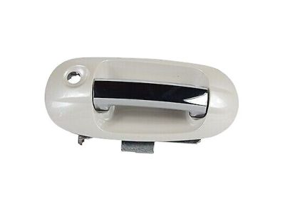 Ford BL7Z-7822405-AAPTM Handle Assembly - Door Outer