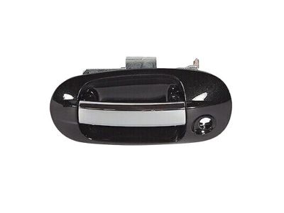 Ford BL7Z-7822405-AAPTM Handle Assembly - Door Outer