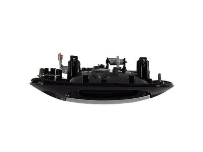 Ford BL7Z-7822405-AAPTM Handle Assembly - Door Outer
