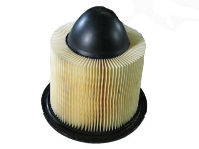 Ford F5OZ-9601-BA Element Assembly - Air Cleaner