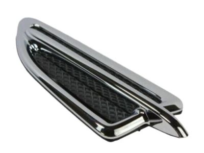 Ford DJ5Z-16228-BA Ornament, Front Driver Side DJ5Z-16228-BA Ford Ornament, Front Driver Side Product Photo 1 of 1
