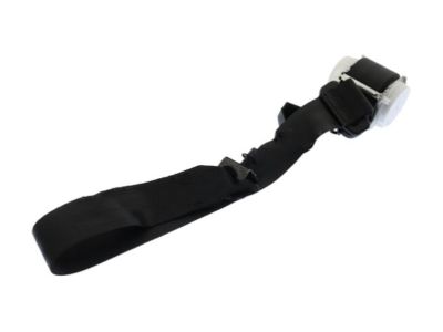 Ford DT1Z-17613B85-AA Lap & Shoulder Belt, Rear Driver Side DT1Z-17613B85-AA Ford Lap & Shoulder Belt, Rear Driver Side Product Photo 1 of 1