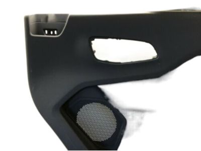 Ford CK4Z-6023942-BD Panel Assembly - Door Trim