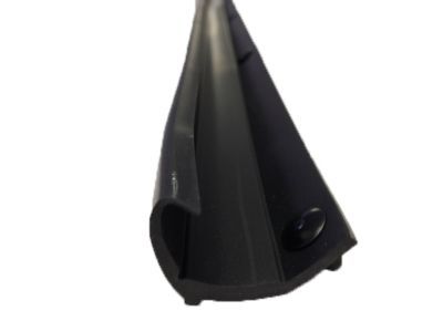 Ford 1C3Z-26253A24-A Weatherstrip - Door Lower