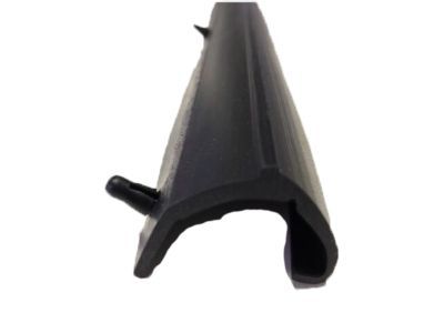 Ford 1C3Z-26253A24-A Weatherstrip - Door Lower