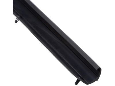 Ford 1C3Z-26253A24-A Weatherstrip - Door Lower