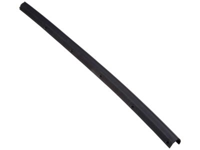 Ford 1C3Z-26253A24-A Weatherstrip - Door Lower