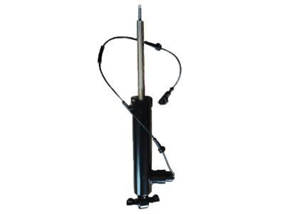 Lincoln G3GZ-18125-J Shock Absorber Assembly