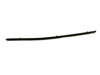 Mercury Door Moldings - 6E5Z-5425557-APTM