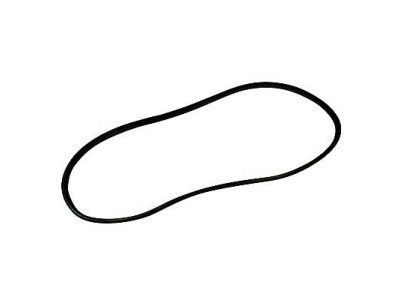 Mercury Montego Door Seal - 5G1Z-54253A10-AA