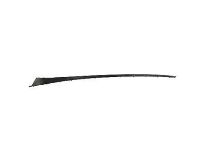 AM5Z-5803178-A Ford Pillar Molding Retainer Strip, Passenger Side Product Photo 1 of 2