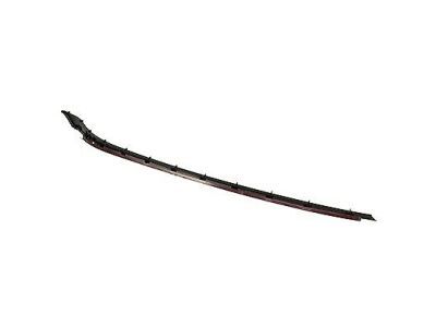 AM5Z-5803178-A Ford Pillar Molding Retainer Strip, Passenger Side Product Photo 2 of 2