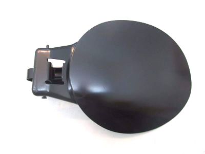 Lincoln XW4Z-54405A26-AA Door - Fuel Tank Filler